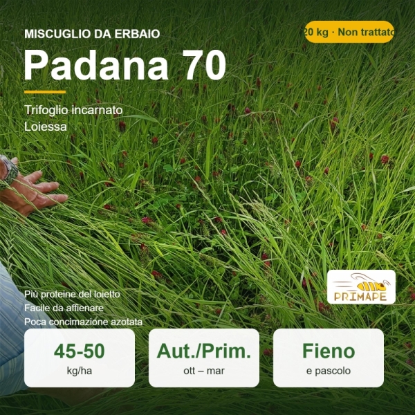 Miscuglio da Erbaio Padana 70 – 20 kg – Fieno e Pascolo Inverna...
