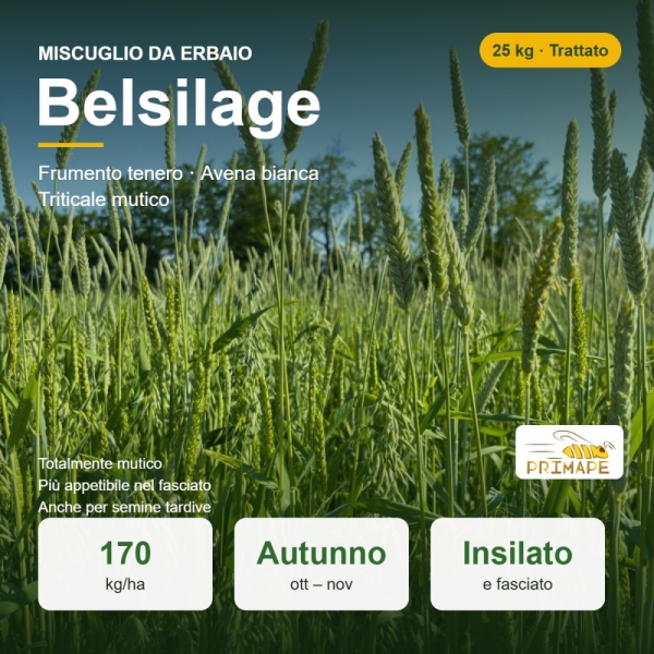 Miscuglio da Erbaio Belsilage – 25 kg – Insilato e Fieno Fascia...