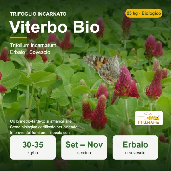 Semi di Trifoglio Incarnato Viterbo Bio – 25 kg – per Erbaio e ...