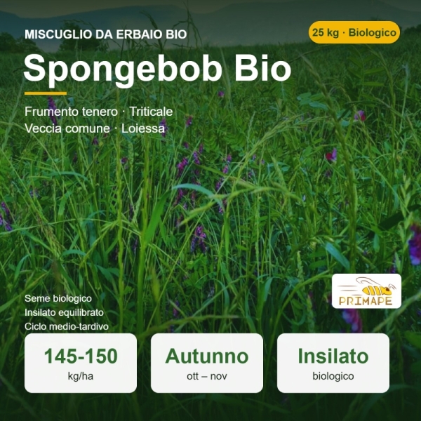 Miscuglio da Erbaio Spongebob Bio – 25 kg – Insilato