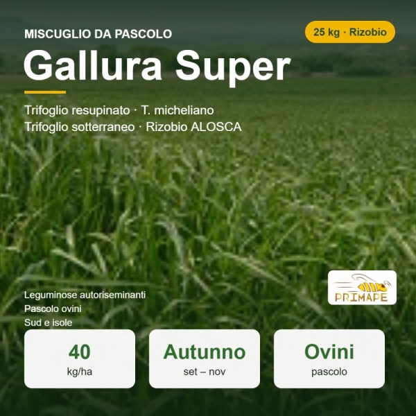 Miscuglio da Pascolo Gallura Super con Rizobio – 25 kg – Pascol...