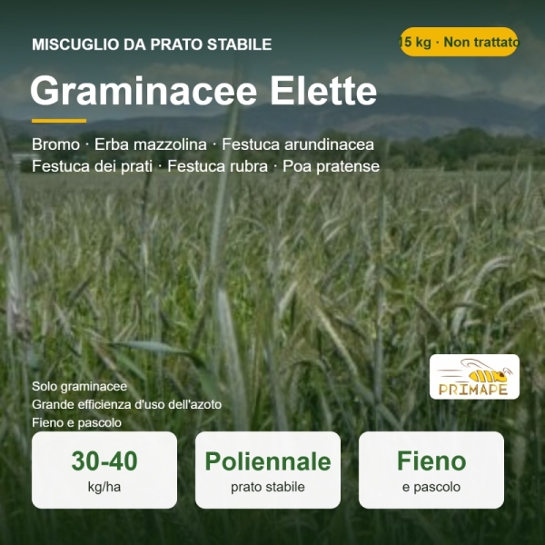 Miscuglio da Prato Stabile Graminacee Elette – 15 kg – Fieno e ...