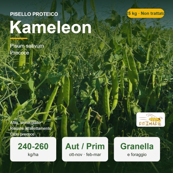 Semi di Pisello Proteico Kameleon – 25 kg – Granella e Foraggio...