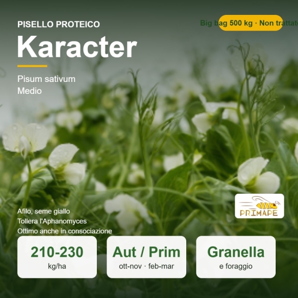 Semi di Pisello Proteico Karacter – 500 kg Big Bag – Granella e...