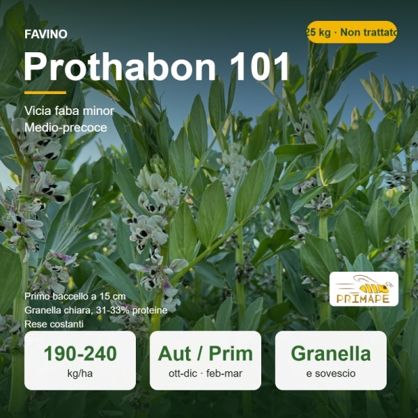 Semi di Favino Prothabon 101 – 25 kg – Granella e Sovescio – ...