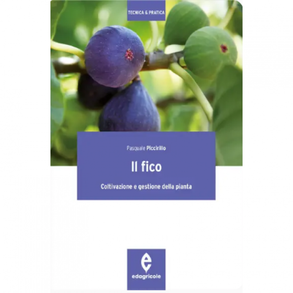 LIBRO - IL FICO di Pasquale Piccirillo