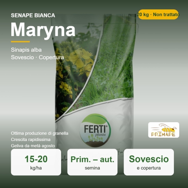 Semi di Senape Bianca Maryna – 20 kg – Sovescio e Copertura –...
