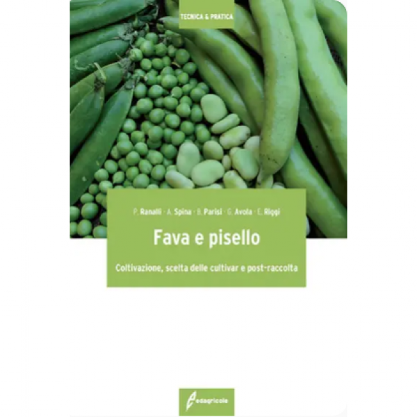 LIBRO - FAVA E PISELLO di Paolo Ranalli, Alfio Spina, Bruno Parisi,...