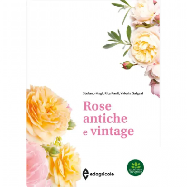 LIBRO - ROSE ANTICHE E VINTAGE di Stefano Magi, Rita Paoli, Valeria...