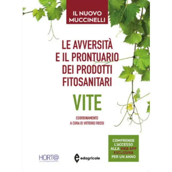 LIBRO - VITE di Vittorio Rossi, Hort@, Mario Muccinelli