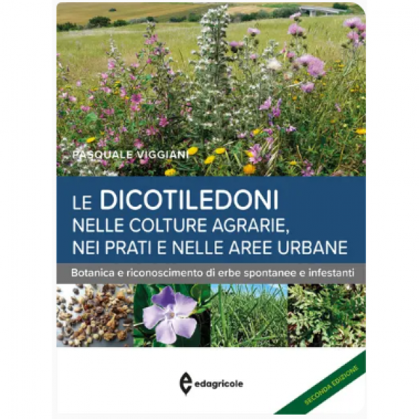 LIBRO - LE DICOTILEDONI NELLE COLTURE AGRARIE, NEI PRATI E NELLE AR...