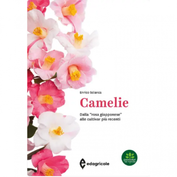 LIBRO - CAMELIE di Enrico Scianca