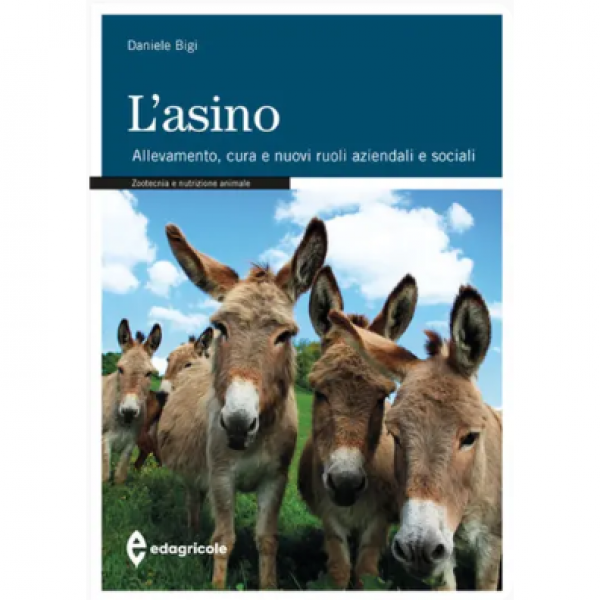 LIBRO - L'ASINO di Daniele Bigi