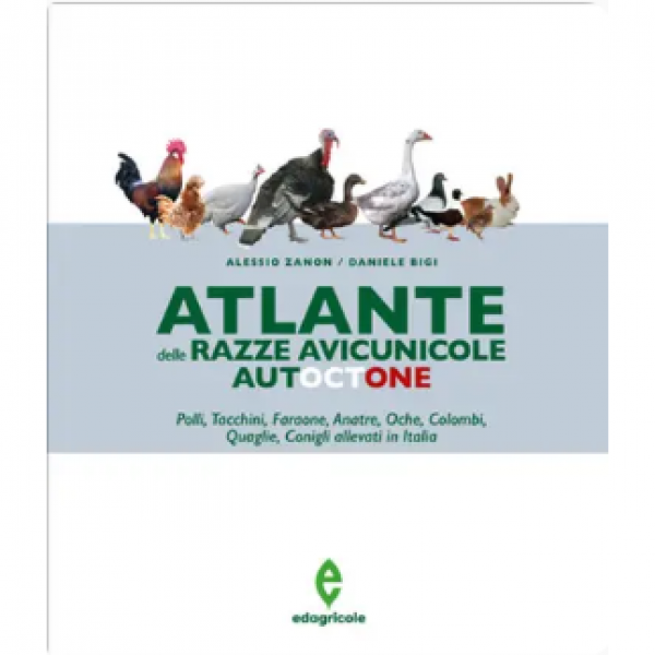 LIBRO - ATLANTE DELLE RAZZE AVICUNICOLE AUTOCTONE di Alessio Zanon,...