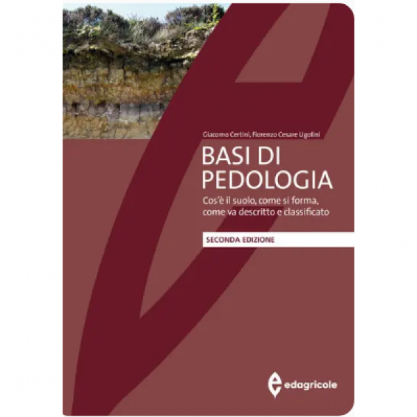 LIBRO - BASI DI PEDAGOGIA di Giacomo Certini, Fiorenzo Cesare Ugolini