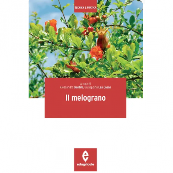 LIBRO - IL MELOGRANO a cura di Alessandra Gentile, Giuseppina Las C...