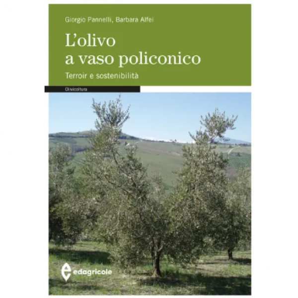LIBRO - L'OLIVO A VASO POLICONICO di Giorgio Pannelli, Barbara Alfei