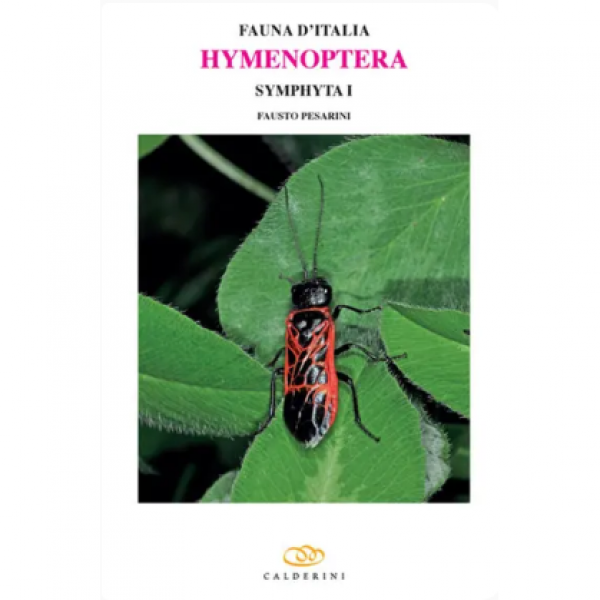 LIBRO - FAUNA D'ITALIA HYMENOPTERA SYMPHYTA I di Fausto Pesarini
