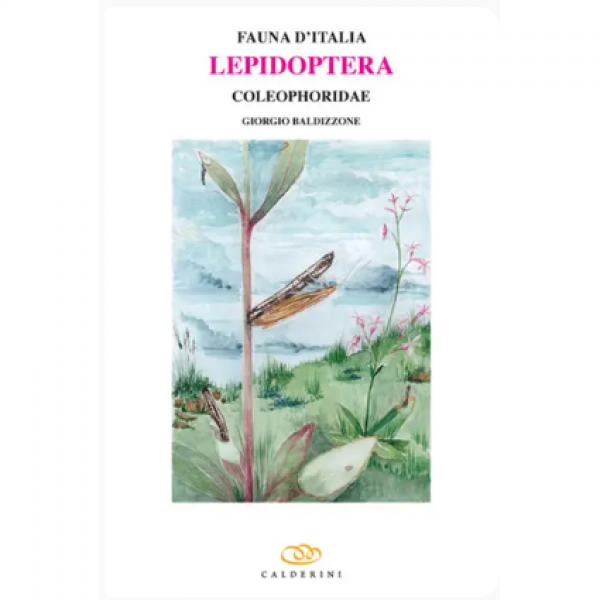 LIBRO - FAUNA D'ITALIA LEPIDOPTERA COLEOPHORIDAE di Giorgio Baldizzone