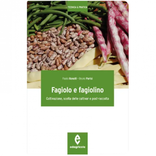 LIBRO - FAGIOLO E FAGIOLINO di Paolo Ranalli, Bruno Parisi
