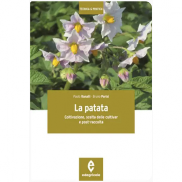 LIBRO - LA PATATA di Paolo Ranalli, Bruno Parisi