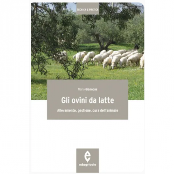 LIBRO - GLI OVINI DA LATTE di Mario Giannone