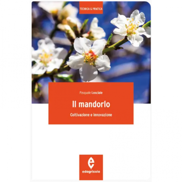 LIBRO - IL MANDORLO di Pasquale Losciale
