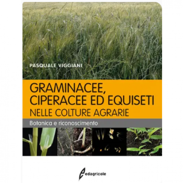 LIBRO - GRAMINACEE, CIPERACEE ED EQUISETI NELLE COLTURE AGRARIE di ...