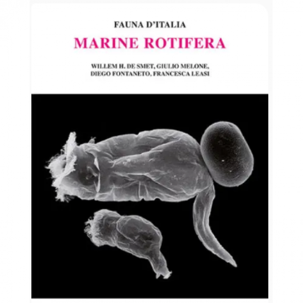 LIBRO - FAUNA D'ITALIA MARINE ROTIFERA di Diego Fontaneto, Francesc...