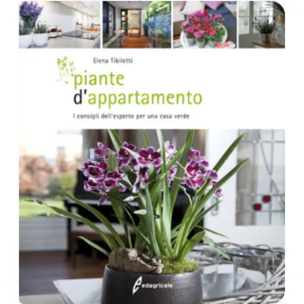 LIBRO - PIANTE D'APPARTAMENTO di Elena Tibiletti