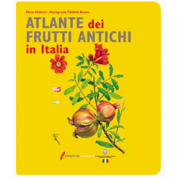 LIBRO - ATLANTE DEI FRUTTI ANTICHI IN ITALIA di Elena Tibiletti, Br...