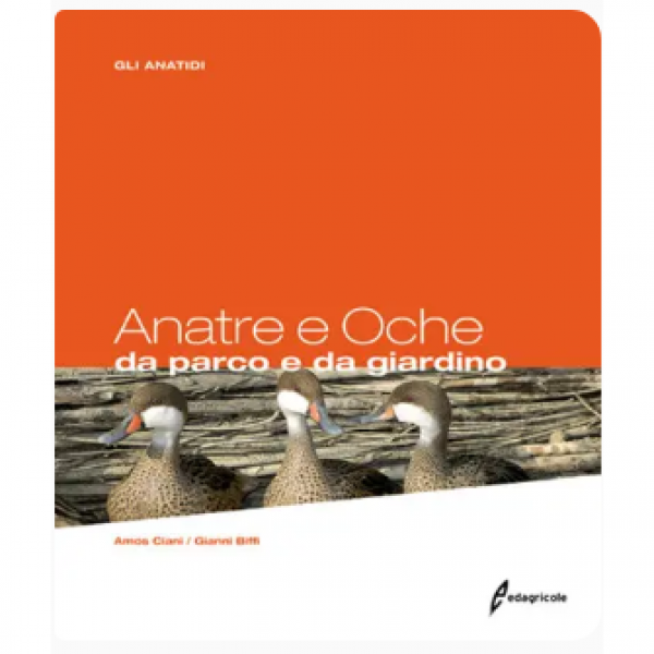 LIBRO - ANATRE E OCHE DA  PARCO E DA GIARDINO di Gianni Biffi, Amos...