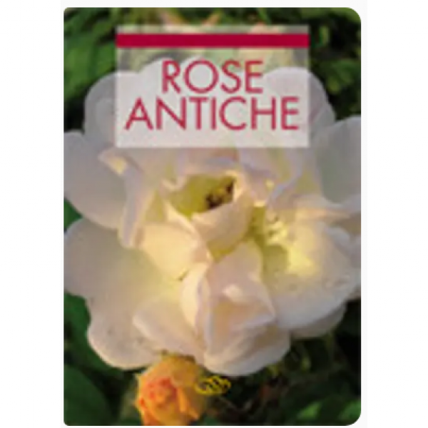 LIBRO - ROSE ANTICHE di Anna Bosi