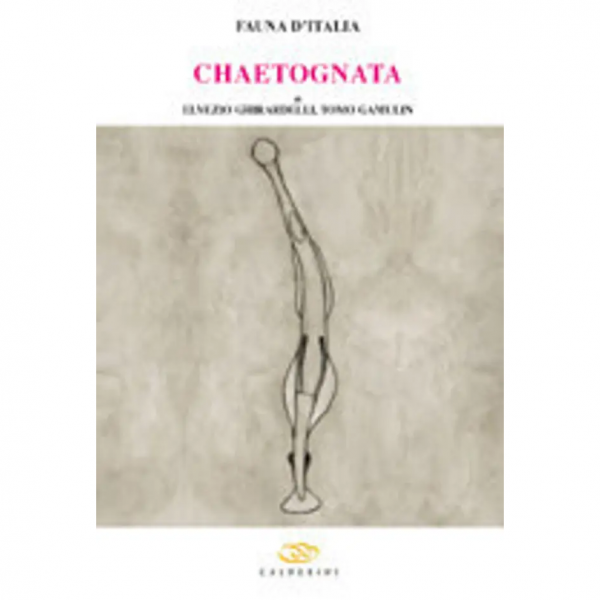 LIBRO - FAUNA D'ITALIA VOL. XXXIX CHAETOGNATHA di Tomo Gamulin