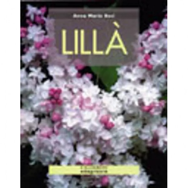 LIBRO - LILLA' di Anna Bosi