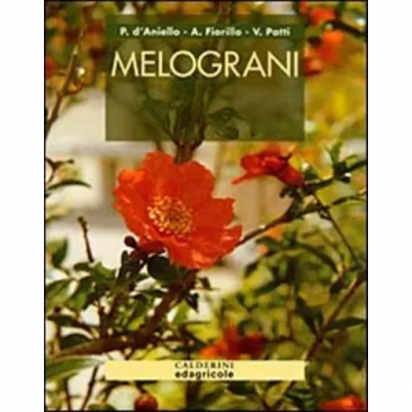 LIBRO - MELOGRANI di Anita Fiorillo, Pierangela D'Aniello, Valentin...