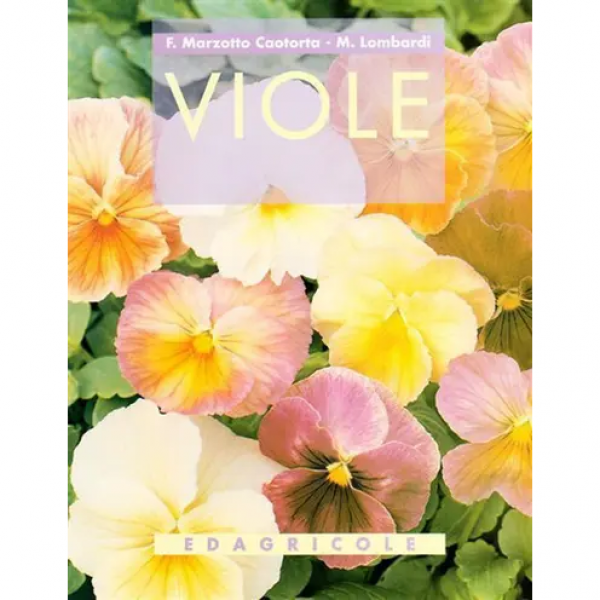 LIBRO - VIOLE di Caotorta Marzotto, Margherita Lombardi