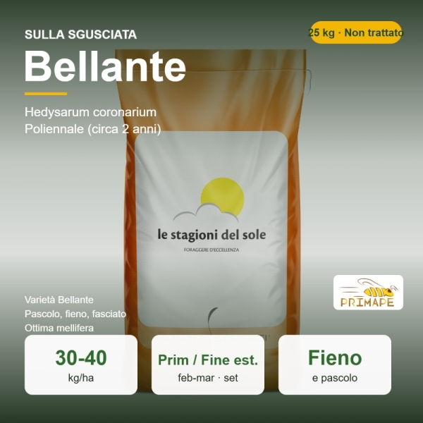 Semi di Sulla Sgusciata Bellante – 25 kg – Non trattati – per...