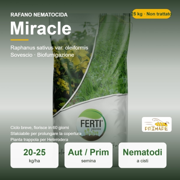 Semi di Rafano Nematocida Miracle – 25 kg – Sovescio e Biofumig...
