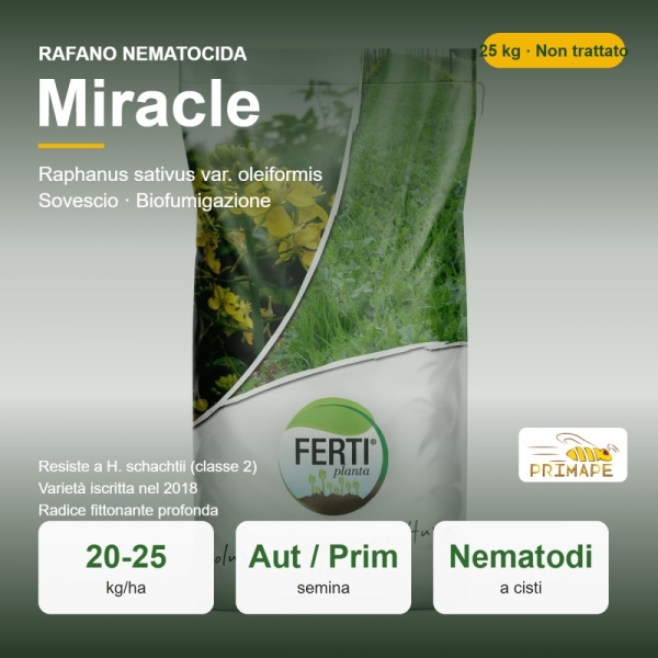 Rafano Nematocida Miracle – 25 kg – Non trattati – per Sovesc...