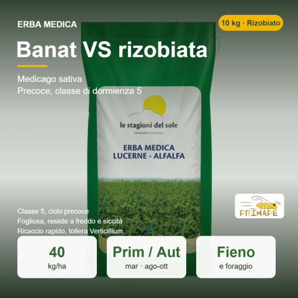 Semi di Erba Medica Banat VS Rizobiata – 10 kg – Fieno e Foragg...