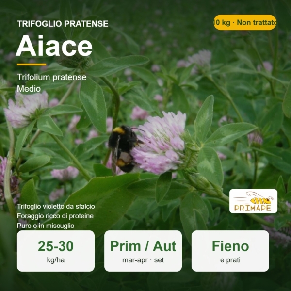 Semi di Trifoglio Pratense Aiace – 10 kg – Fieno e Prato – No...