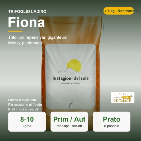 Semi di Trifoglio Ladino Fiona – 10 x 1 kg – Non trattati – p...