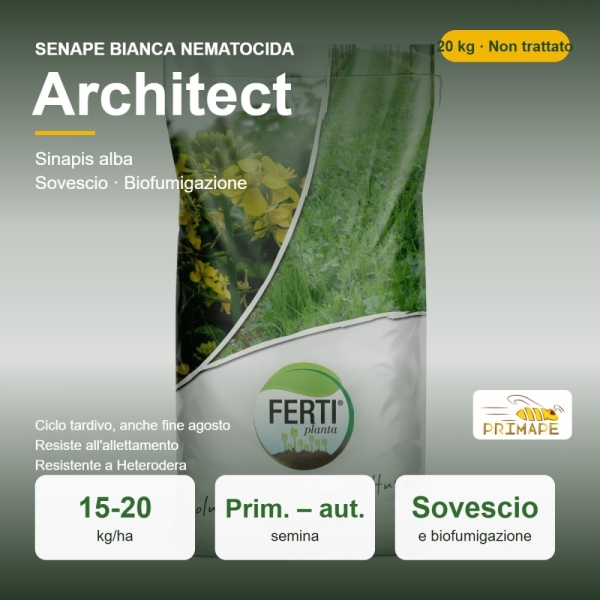 Senape Bianca Nematocida Architect – 20 kg – Non trattati – p...