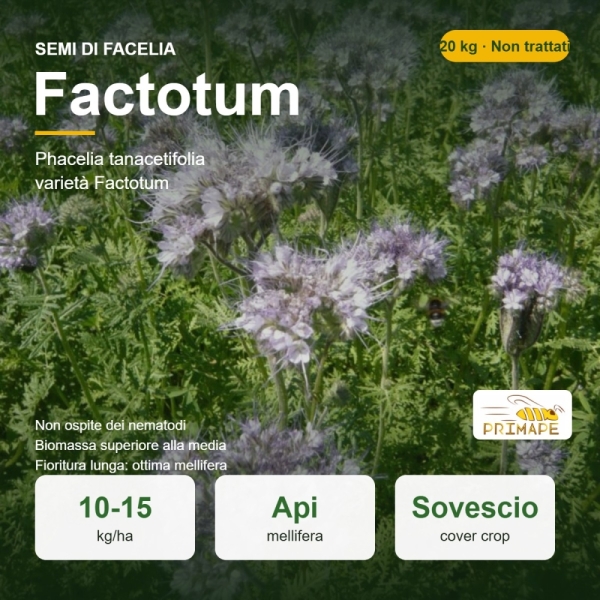 Semi di Facelia Factotum – 20 kg – Sovescio e Mellifera – Non...