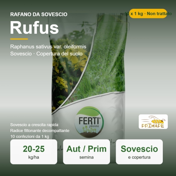 Semi di Rafano da Sovescio Rufus – 10 x 1 kg – Sovescio e Coper...