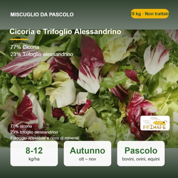 Miscuglio di Cicoria e Trifoglio Alessandrino – 25 kg – Pascolo...