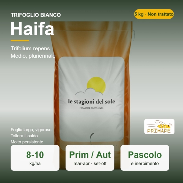 Semi di Trifoglio Bianco Haifa – 5 kg – Pascolo e Inerbimento �...