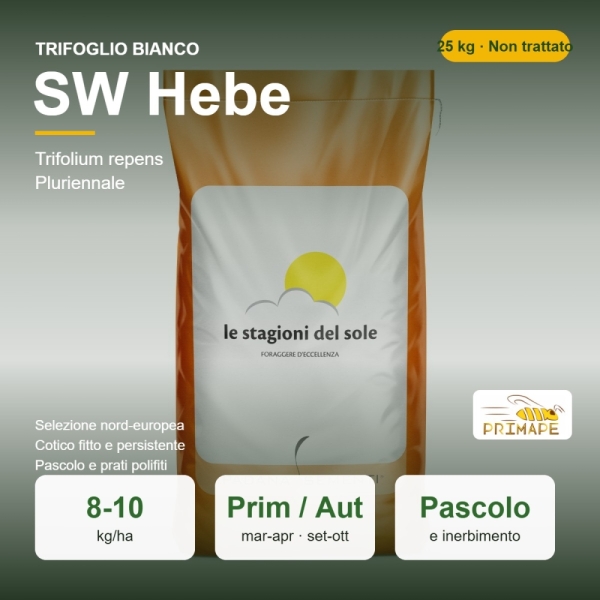 Semi di Trifoglio Bianco SW Hebe – 25 kg – Pascolo e Inerbiment...