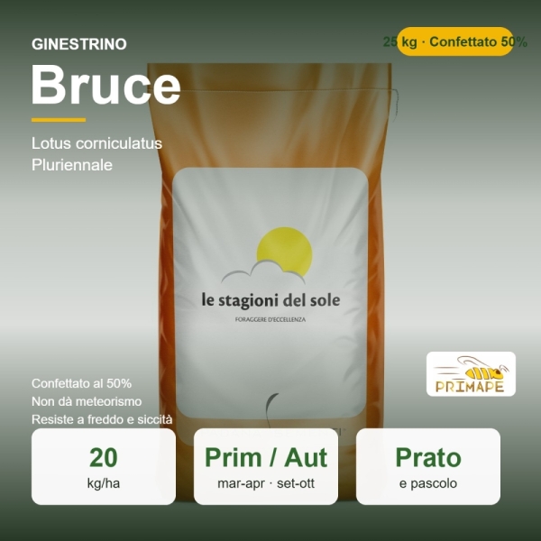 Semi di Ginestrino Bruce Confettato 50% – 25 kg – Prato e Pasco...